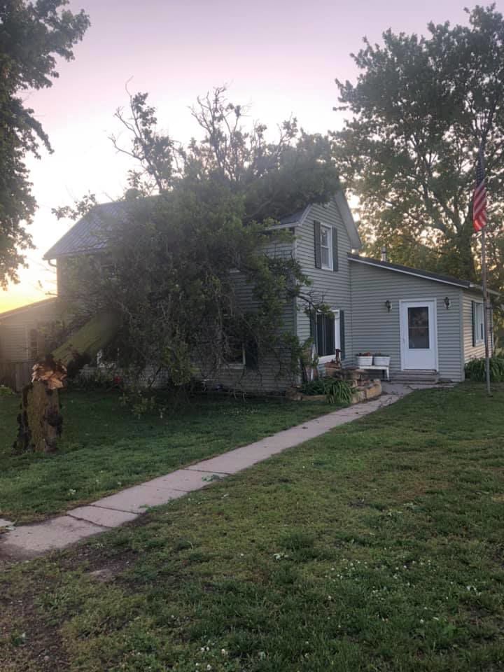 Jackie Meier rural York